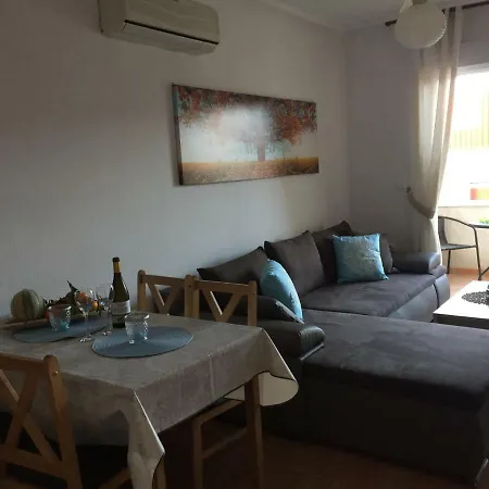 La Bonita 公寓 托雷维耶哈
